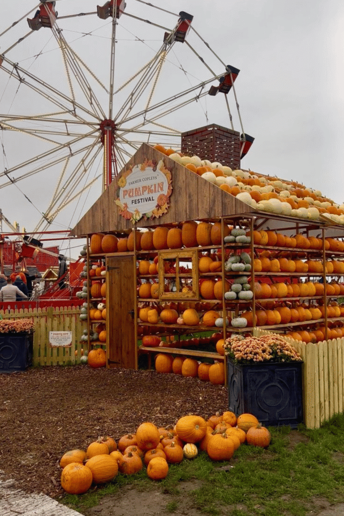 fall side quest ideas, things to do this fall, fall bucket list