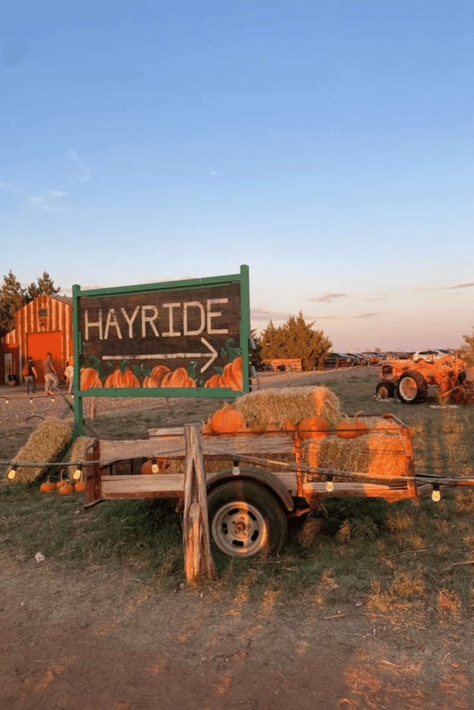 fall side quest ideas, things to do this fall, fall bucket list