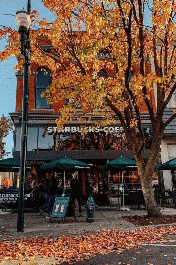 fall side quest ideas, things to do this fall, fall bucket list