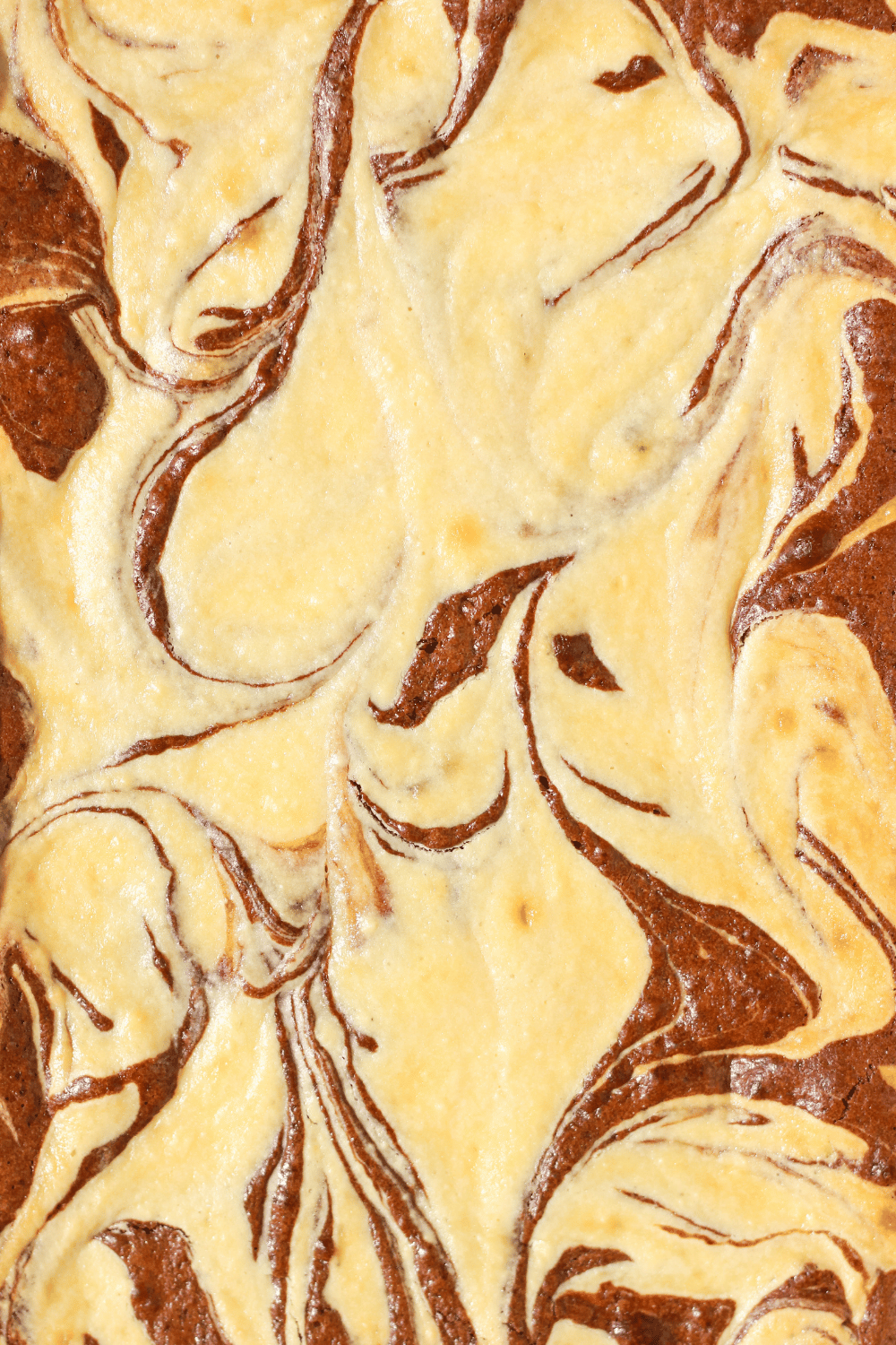 dark chocolate cream cheese marble brownies
