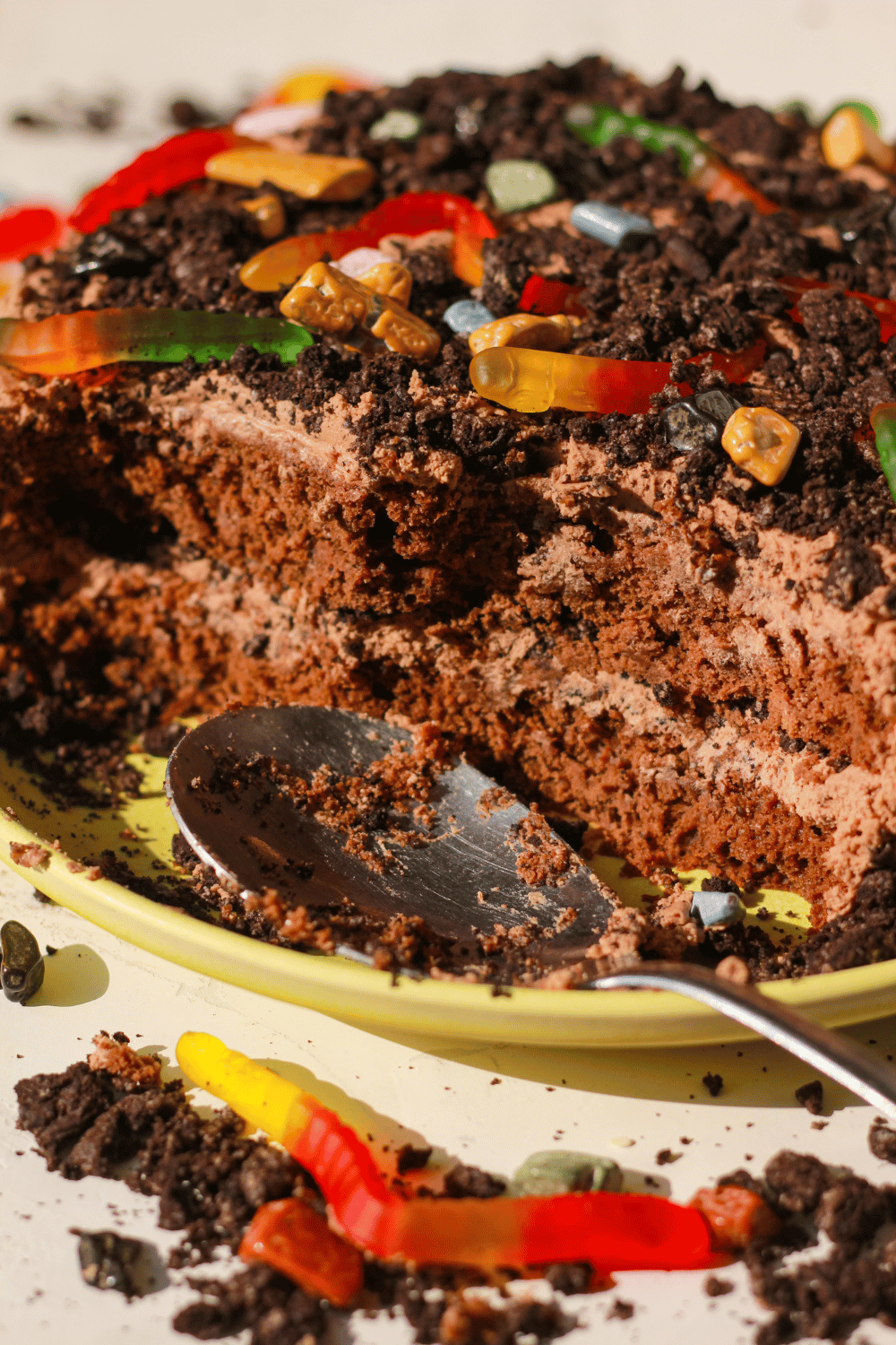 teenage dirtbag cake