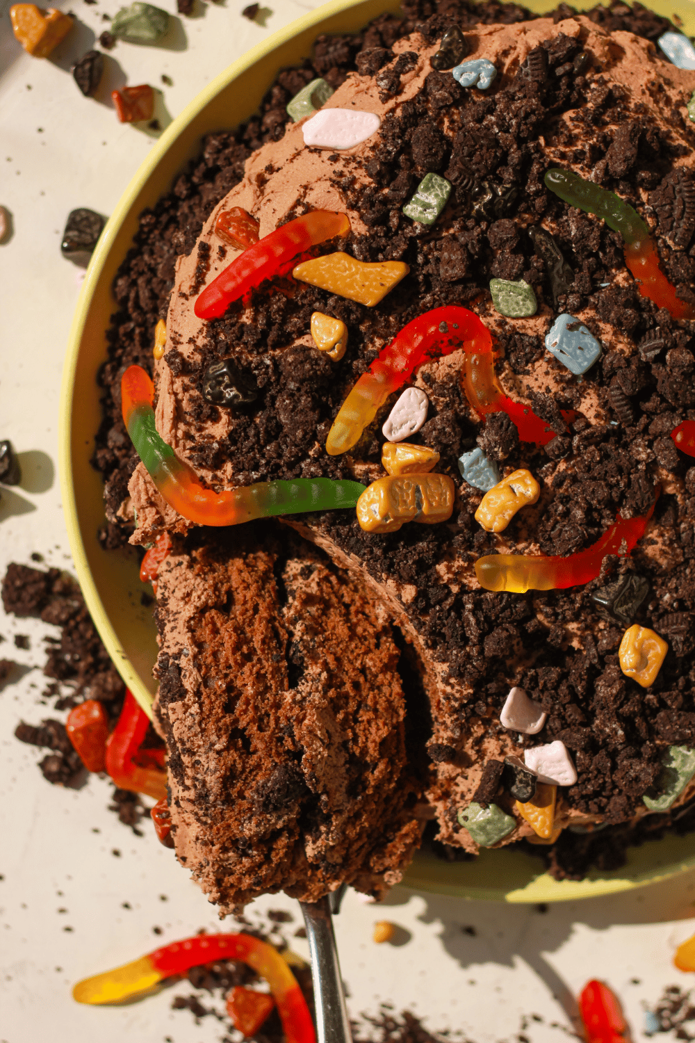 teenage dirtbag cake