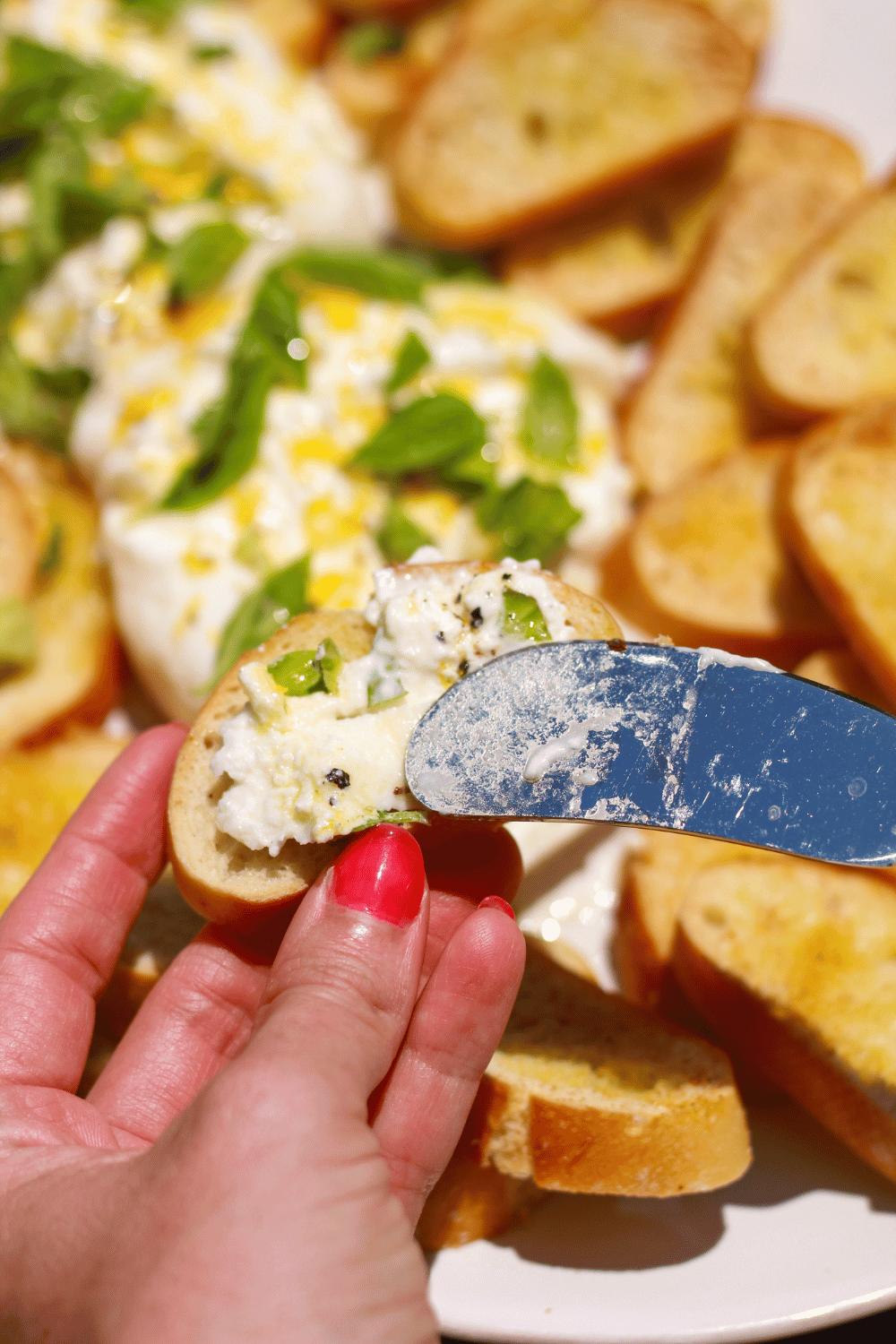 lemon basil burrata